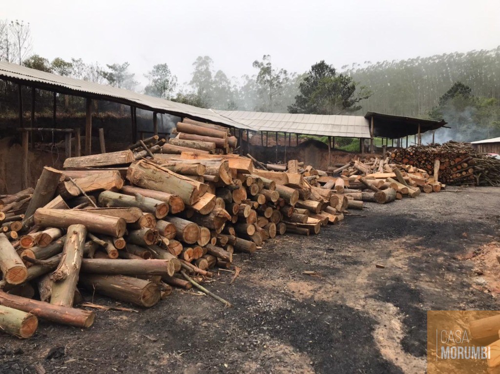 Fazenda à venda com 2 quartos, 92000m² - Foto 9