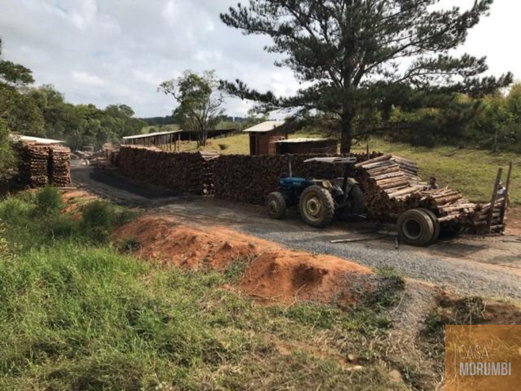 Fazenda à venda com 2 quartos, 92000m² - Foto 6