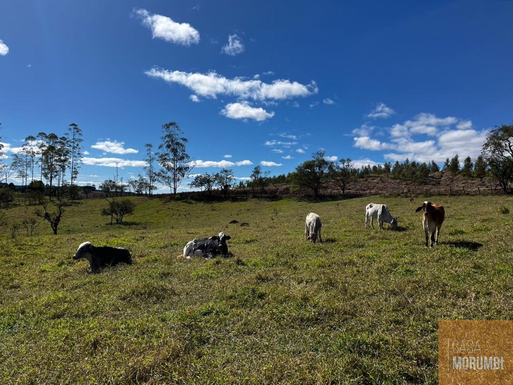 Fazenda à venda com 2 quartos, 92000m² - Foto 1