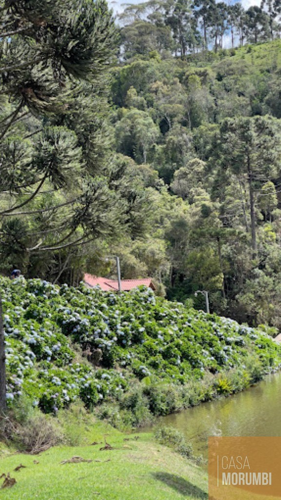 Fazenda à venda com 20 quartos, 473m² - Foto 7