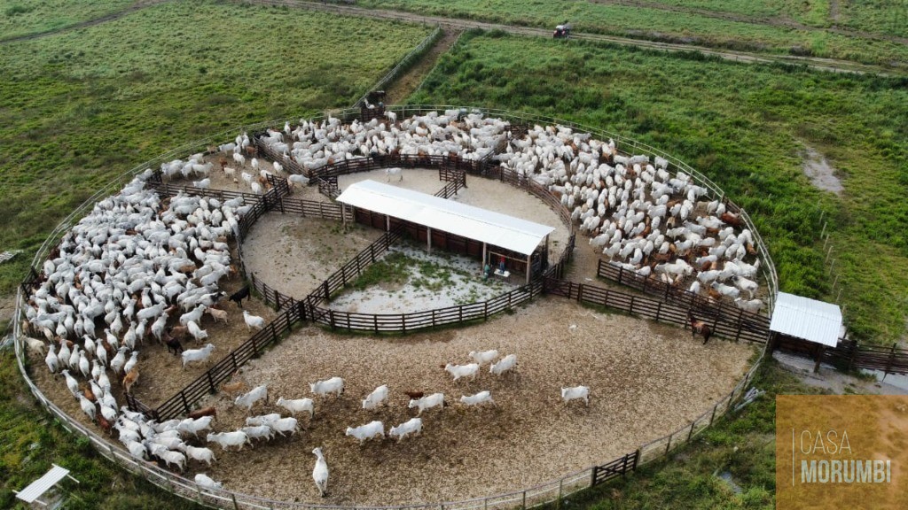 Fazenda à venda, 540m² - Foto 8