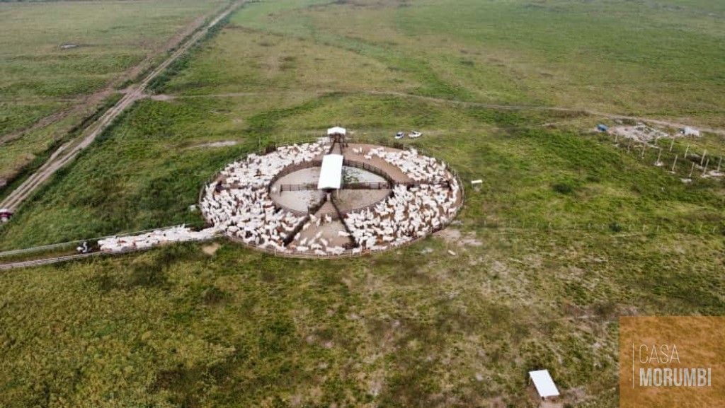 Fazenda à venda, 540m² - Foto 15