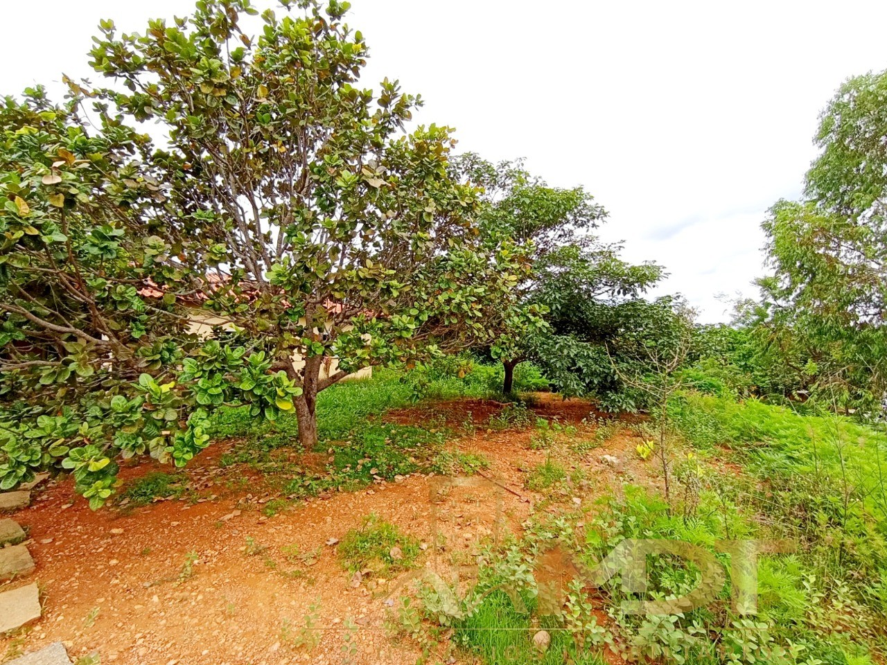 Terreno à venda, 2000m² - Foto 9