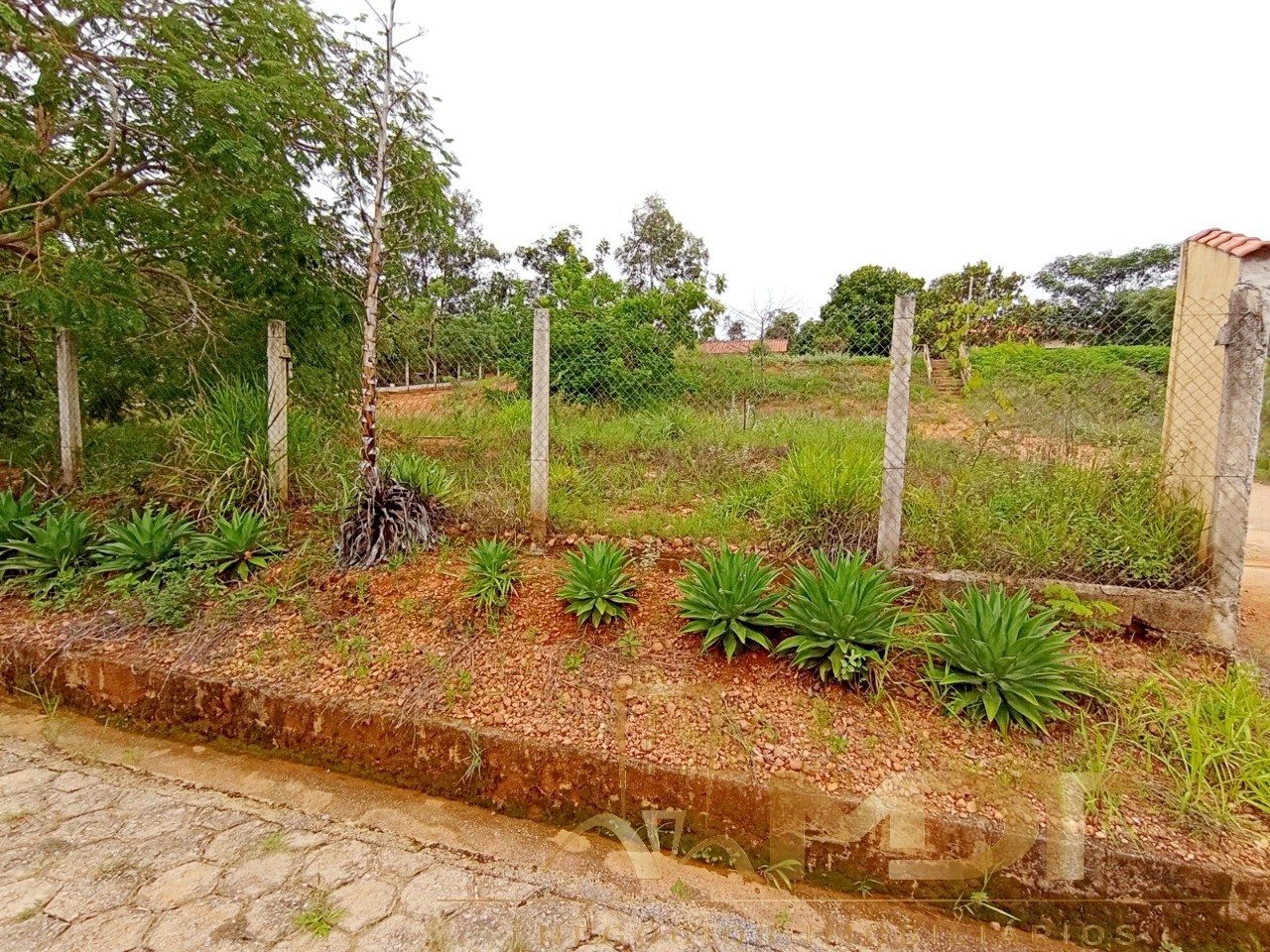 Terreno à venda, 2000m² - Foto 3