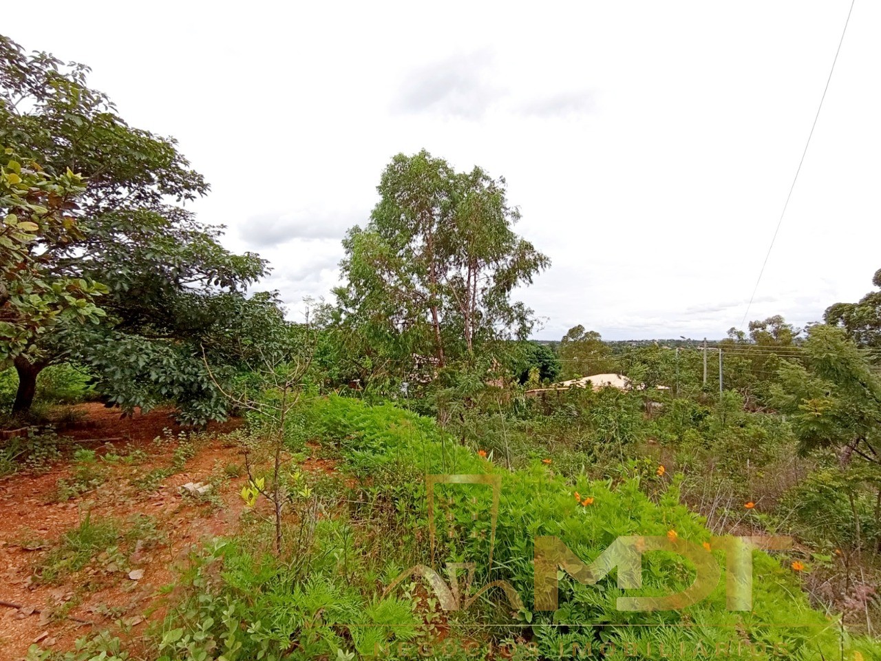 Terreno à venda, 2000m² - Foto 6