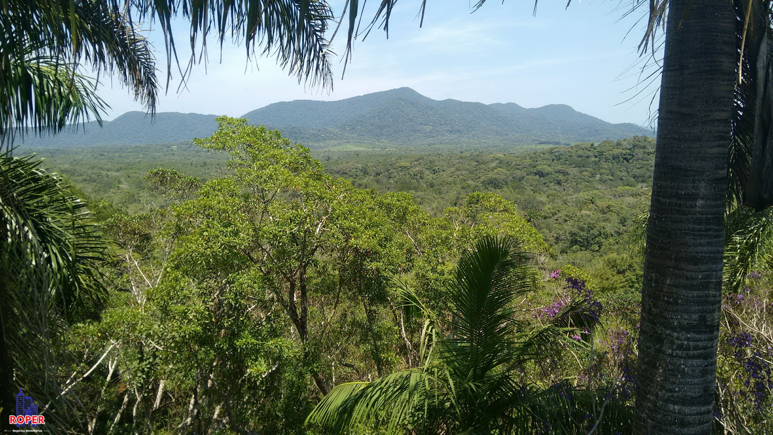 Sítio à venda com 5 quartos, 24000m² - Foto 19