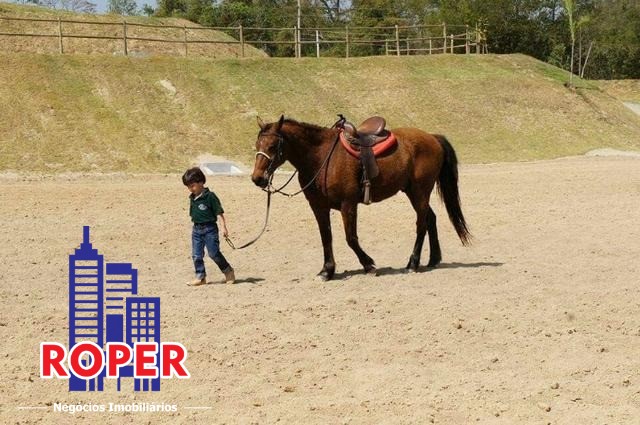 Haras e Área Rural Padrão à venda com 1 quarto, 66000m² - Foto 10