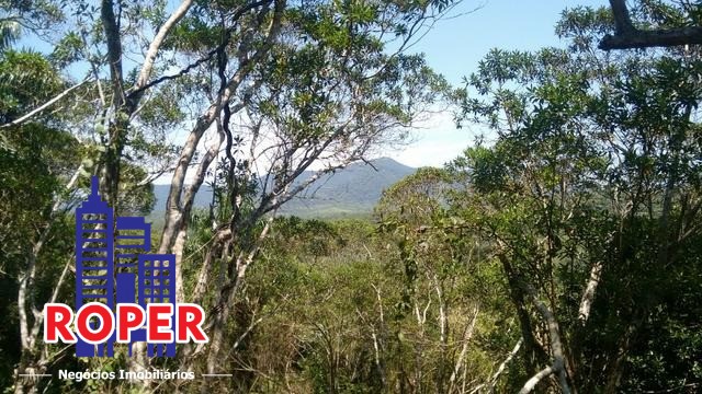 Fazenda à venda com 4 quartos, 120000m² - Foto 3