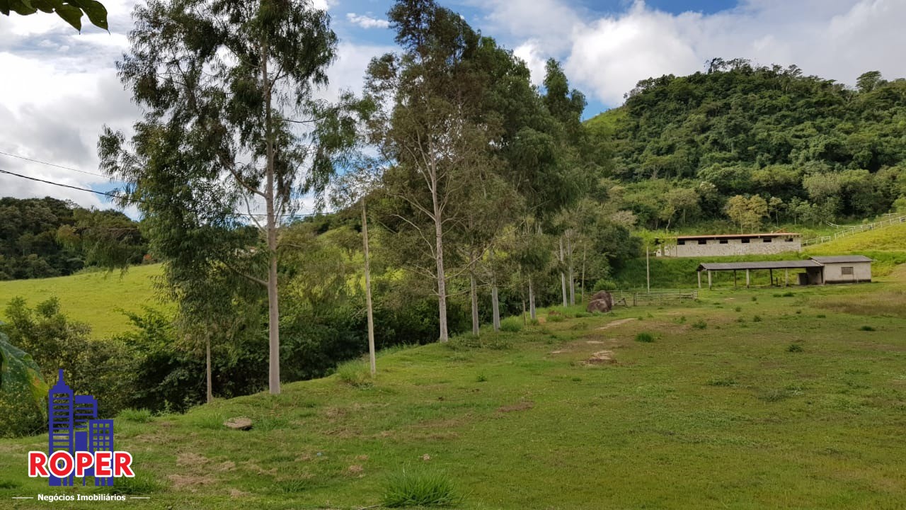 Haras e Área Rural Padrão à venda com 1 quarto, 66000m² - Foto 19