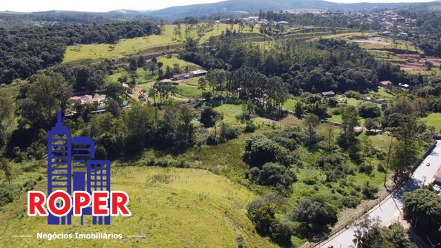 Haras e Área Rural Padrão à venda com 10 quartos, 216000m² - Foto 4