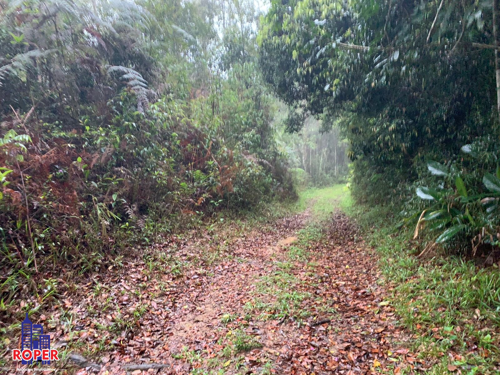 Chácara à venda com 4 quartos, 35000m² - Foto 5