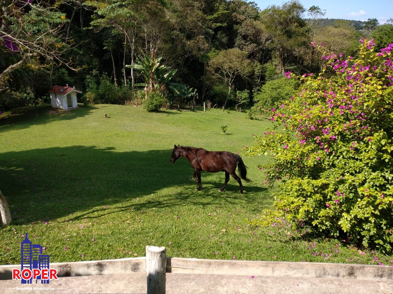 Sítio à venda com 4 quartos, 30000m² - Foto 33