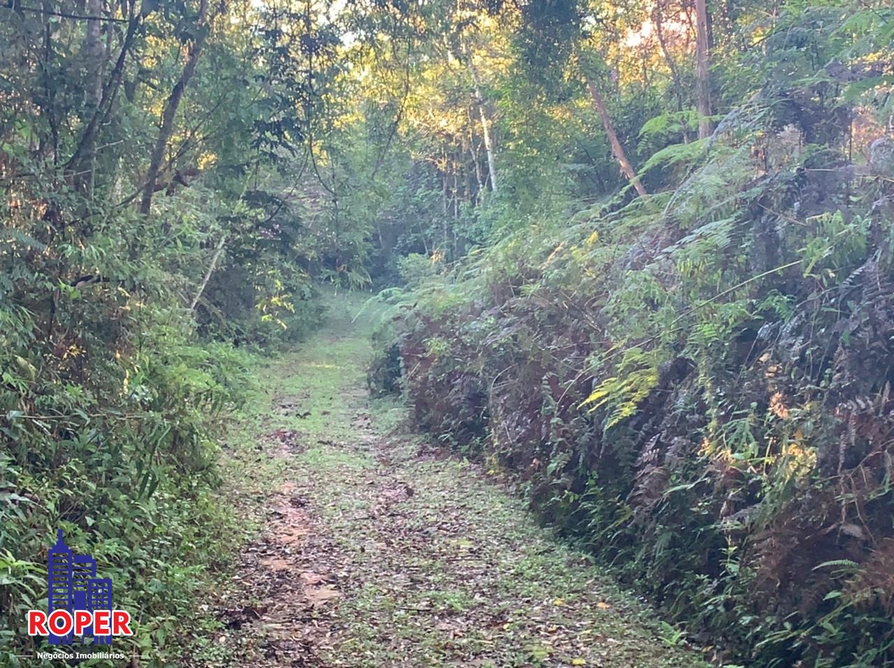 Chácara à venda com 4 quartos, 35000m² - Foto 10