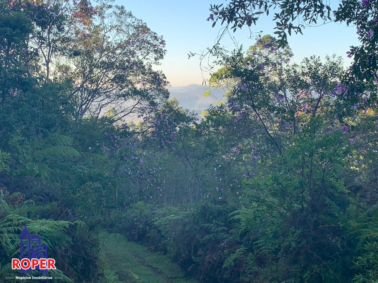 Chácara à venda com 4 quartos, 35000m² - Foto 12