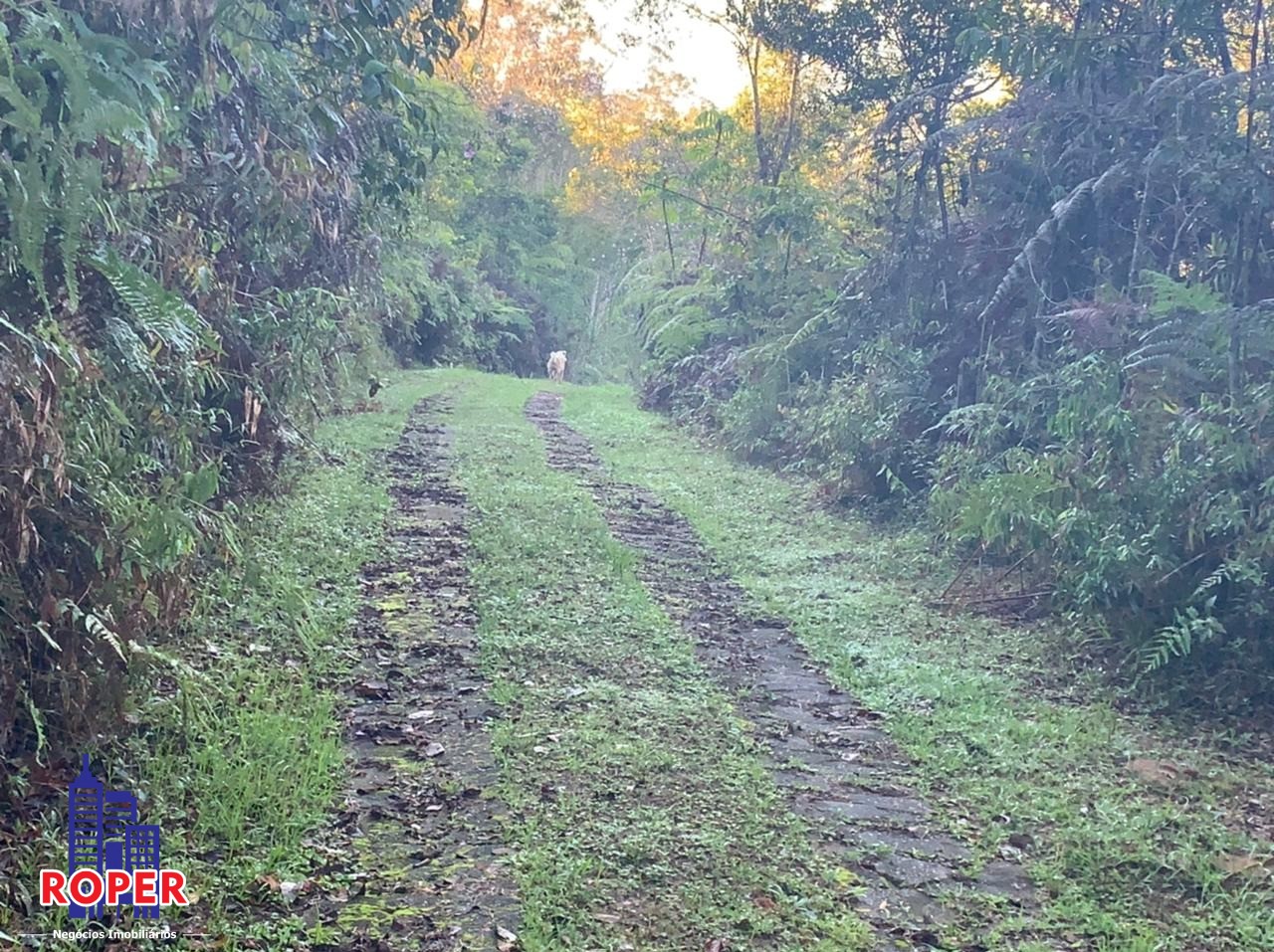 Chácara à venda com 4 quartos, 35000m² - Foto 2