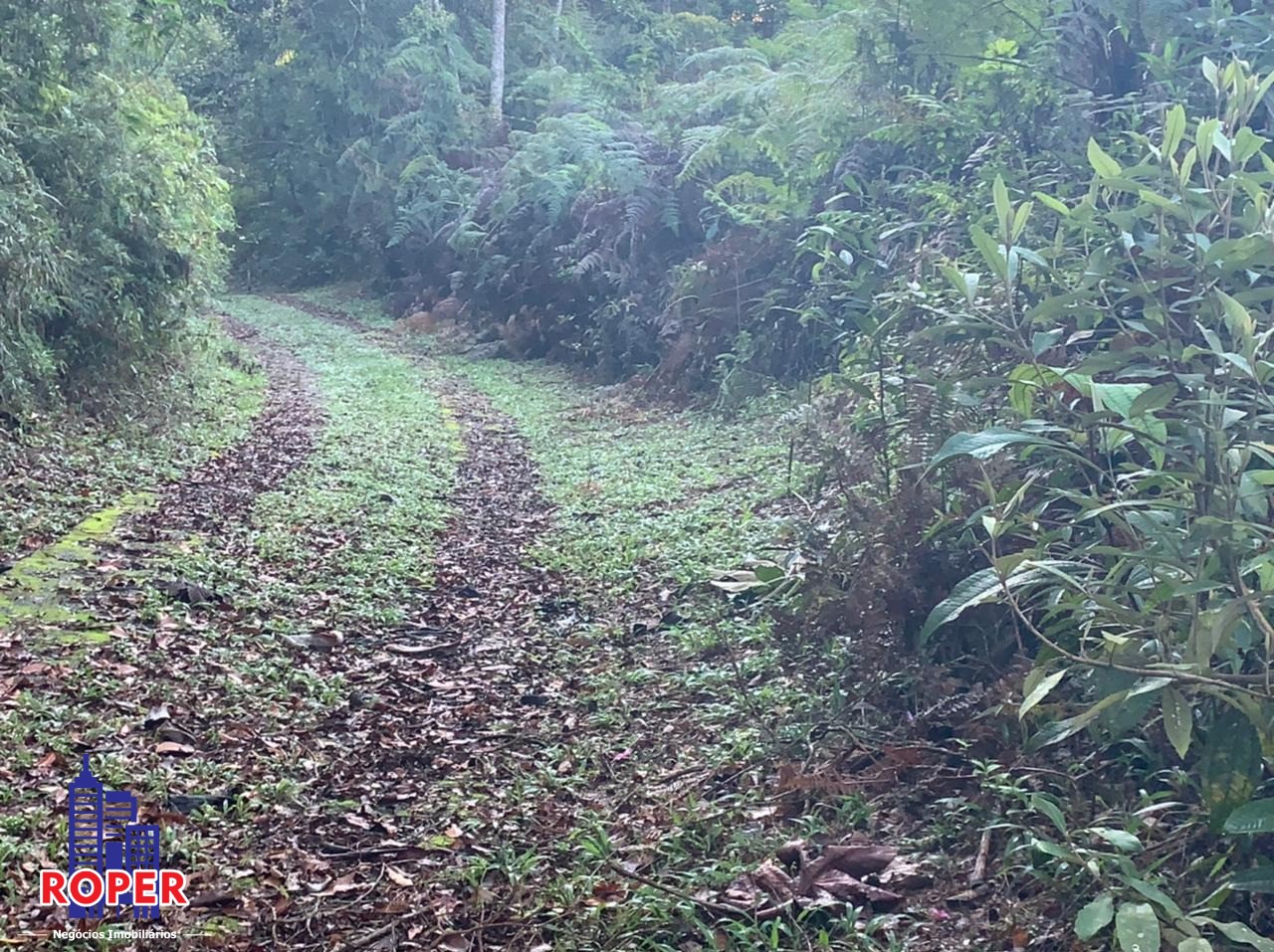 Chácara à venda com 4 quartos, 35000m² - Foto 9