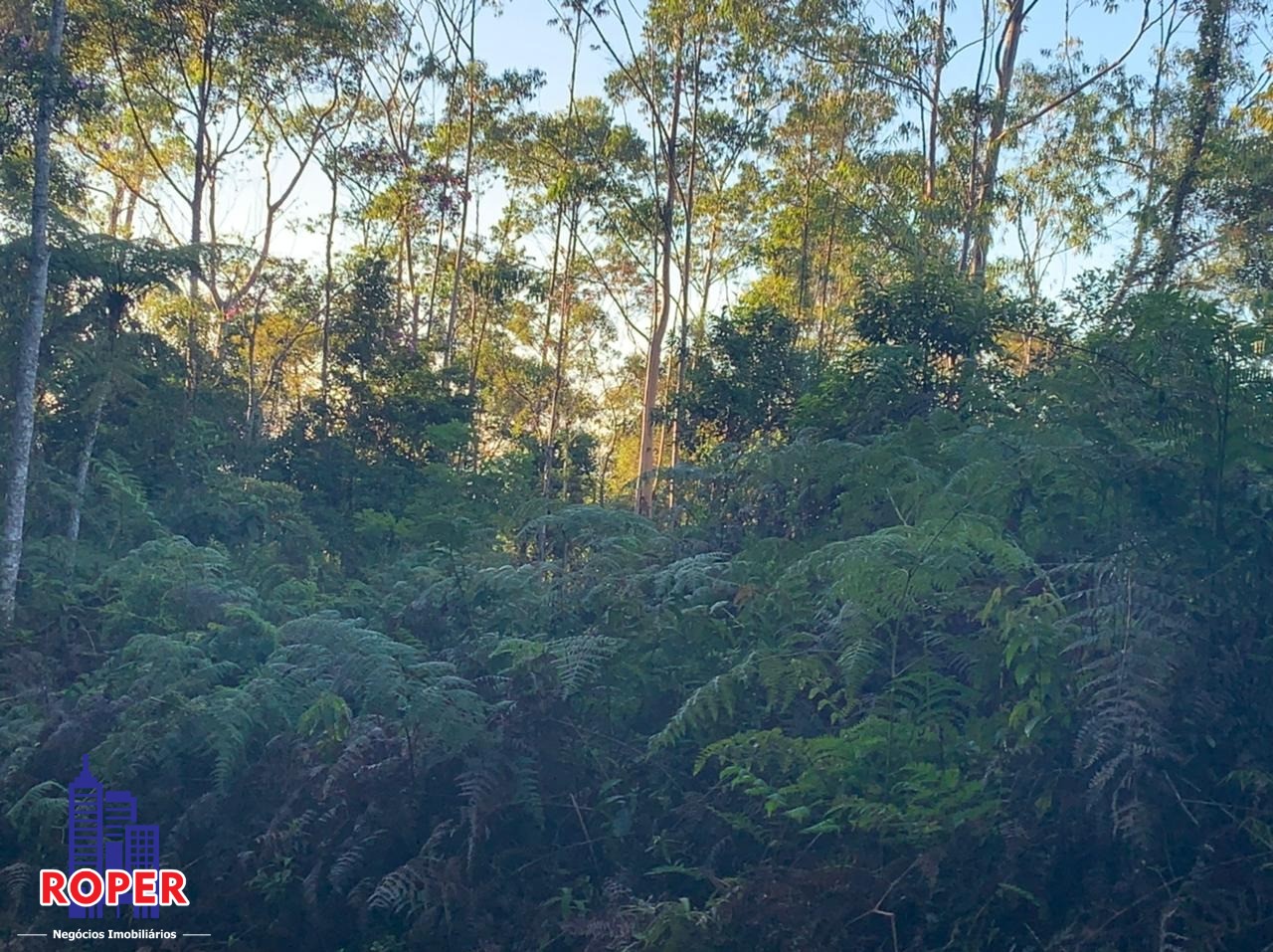 Chácara à venda com 4 quartos, 35000m² - Foto 16