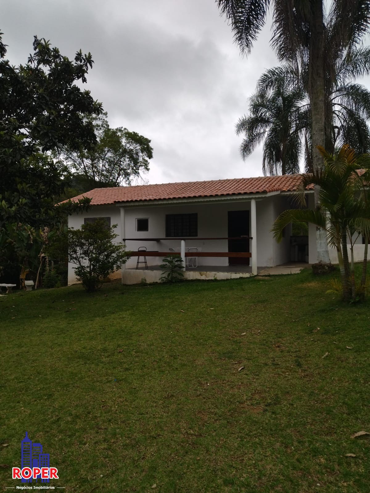 Chácara à venda com 4 quartos, 5000m² - Foto 4