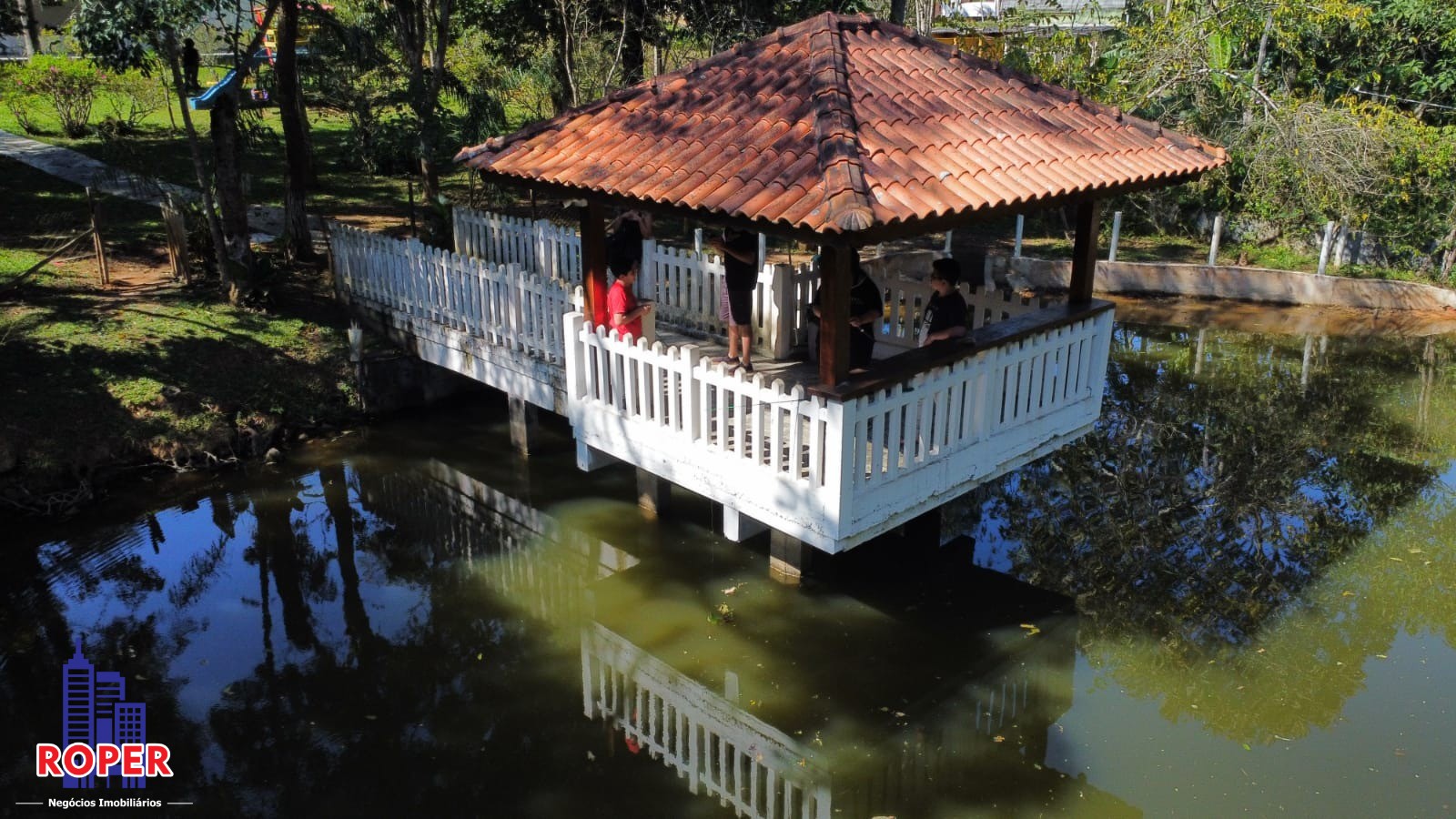 Chácara à venda com 4 quartos, 5000m² - Foto 2