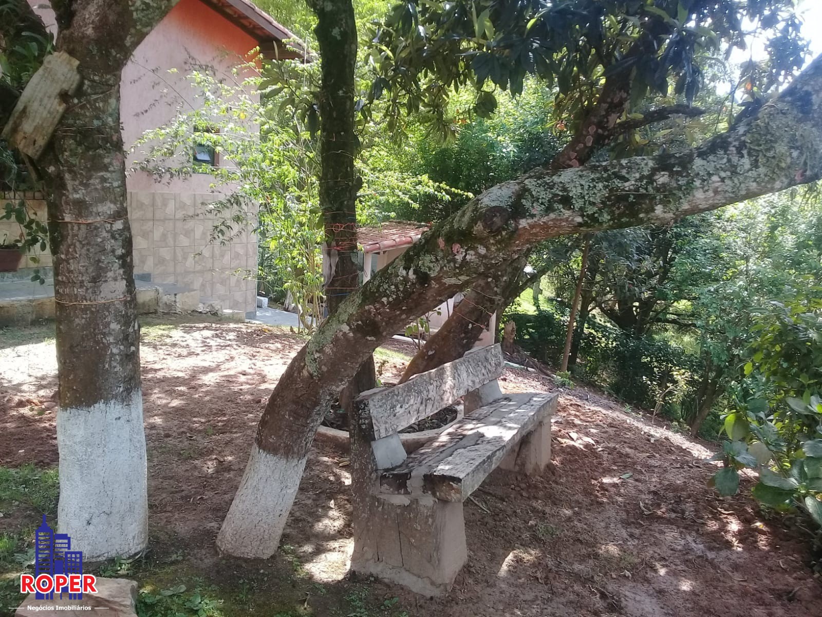 Chácara à venda com 3 quartos, 6800m² - Foto 39