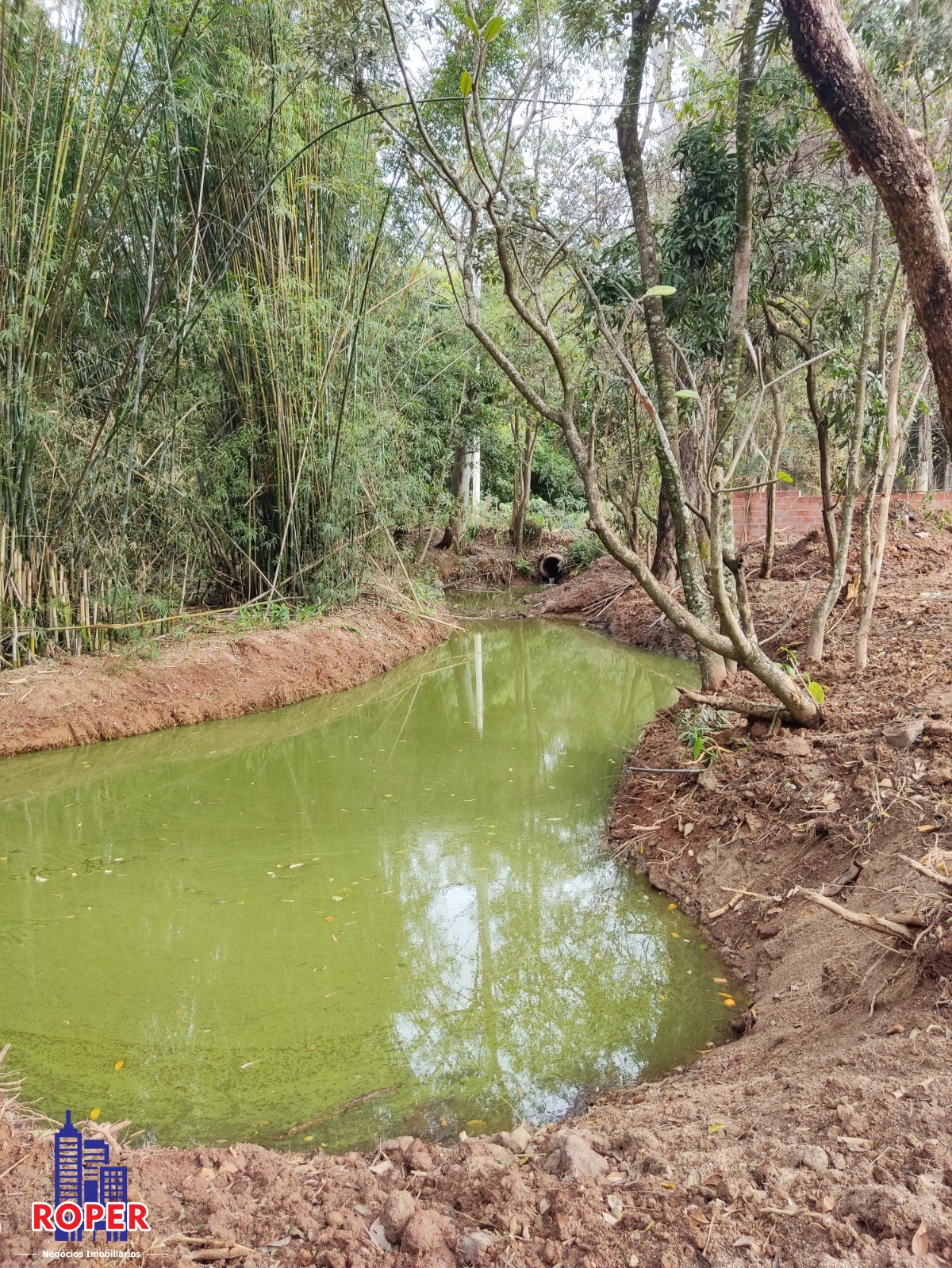 Chácara à venda com 1 quarto, 21000m² - Foto 23