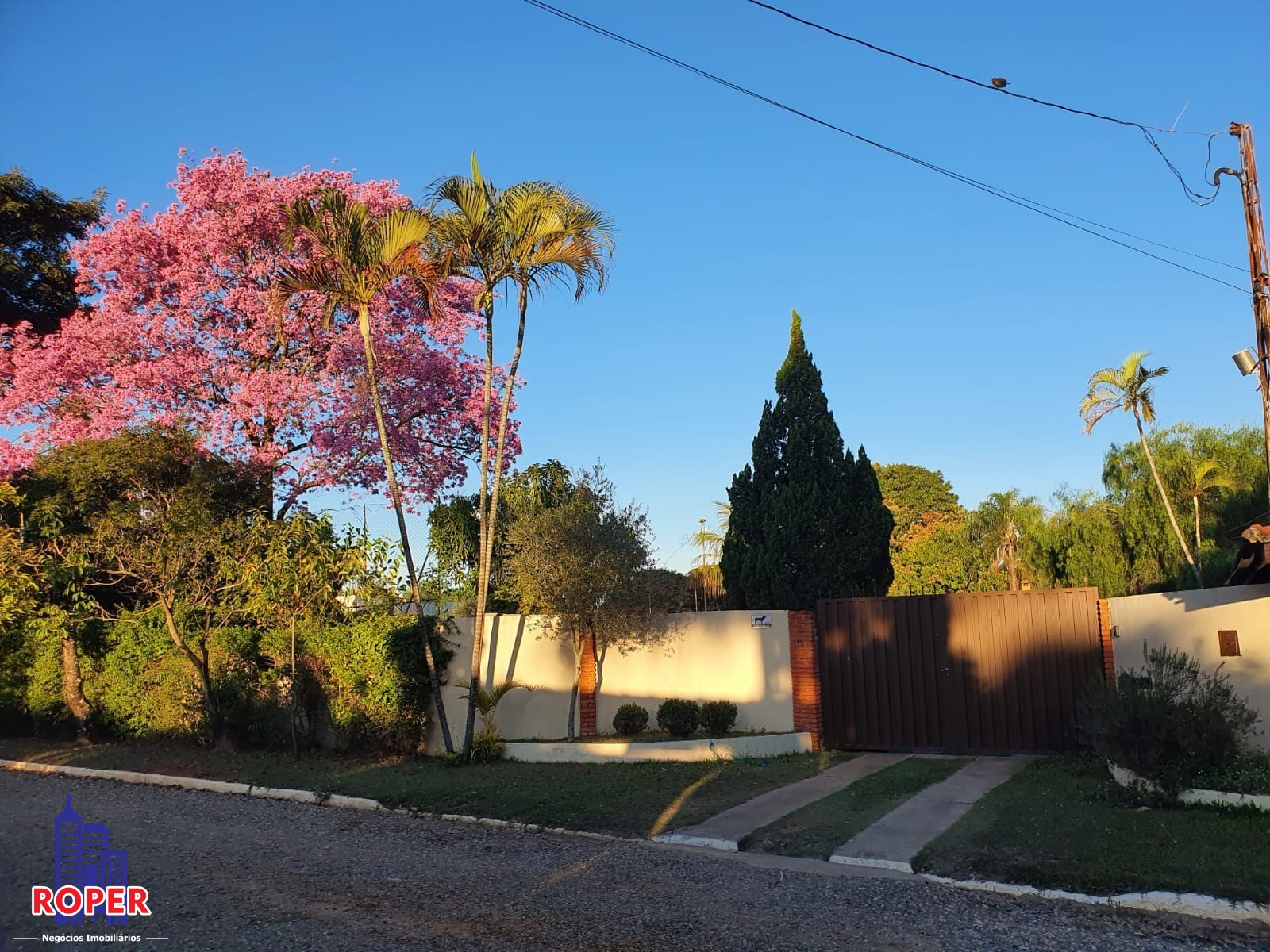 Chácara à venda com 3 quartos, 2260m² - Foto 5