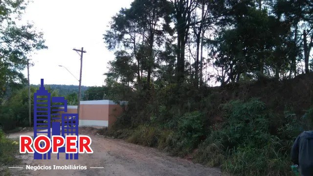 Chácara à venda com 2 quartos, 5340m² - Foto 3