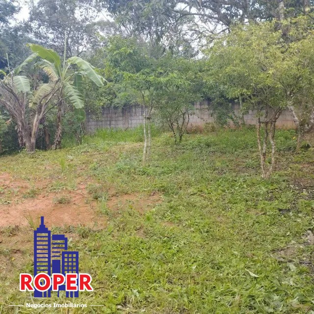 Chácara à venda com 2 quartos, 1000m² - Foto 15