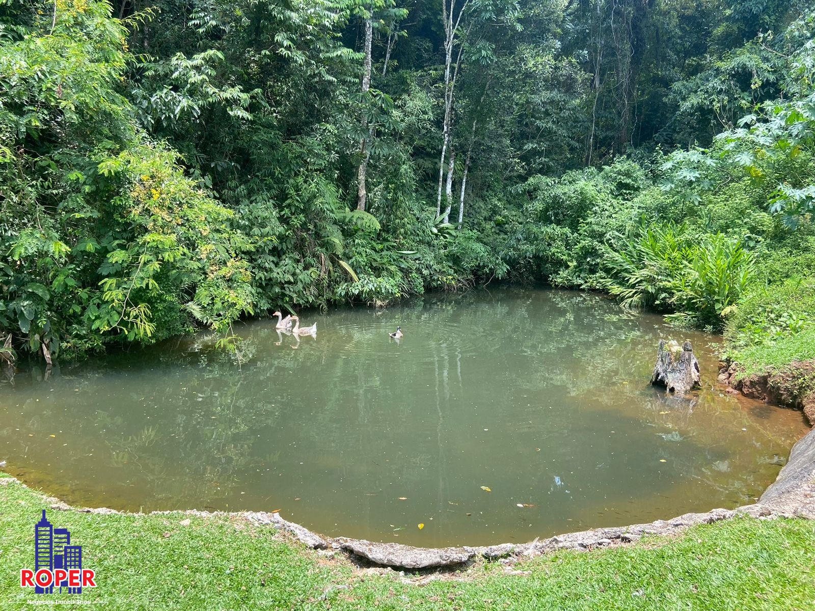 Chácara à venda com 3 quartos, 3000m² - Foto 17