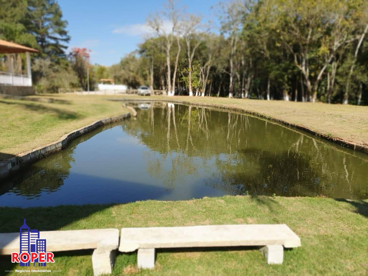 Chácara à venda com 4 quartos, 15000m² - Foto 8