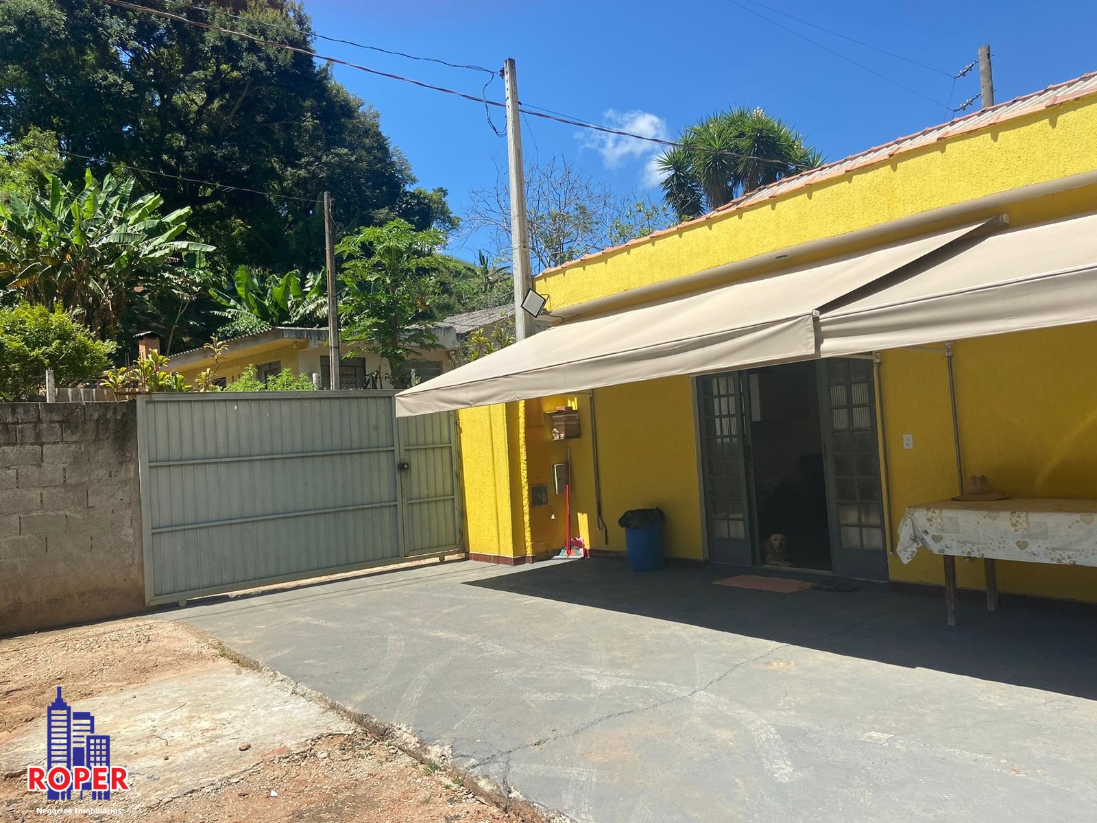 Chácara à venda com 3 quartos, 3000m² - Foto 4