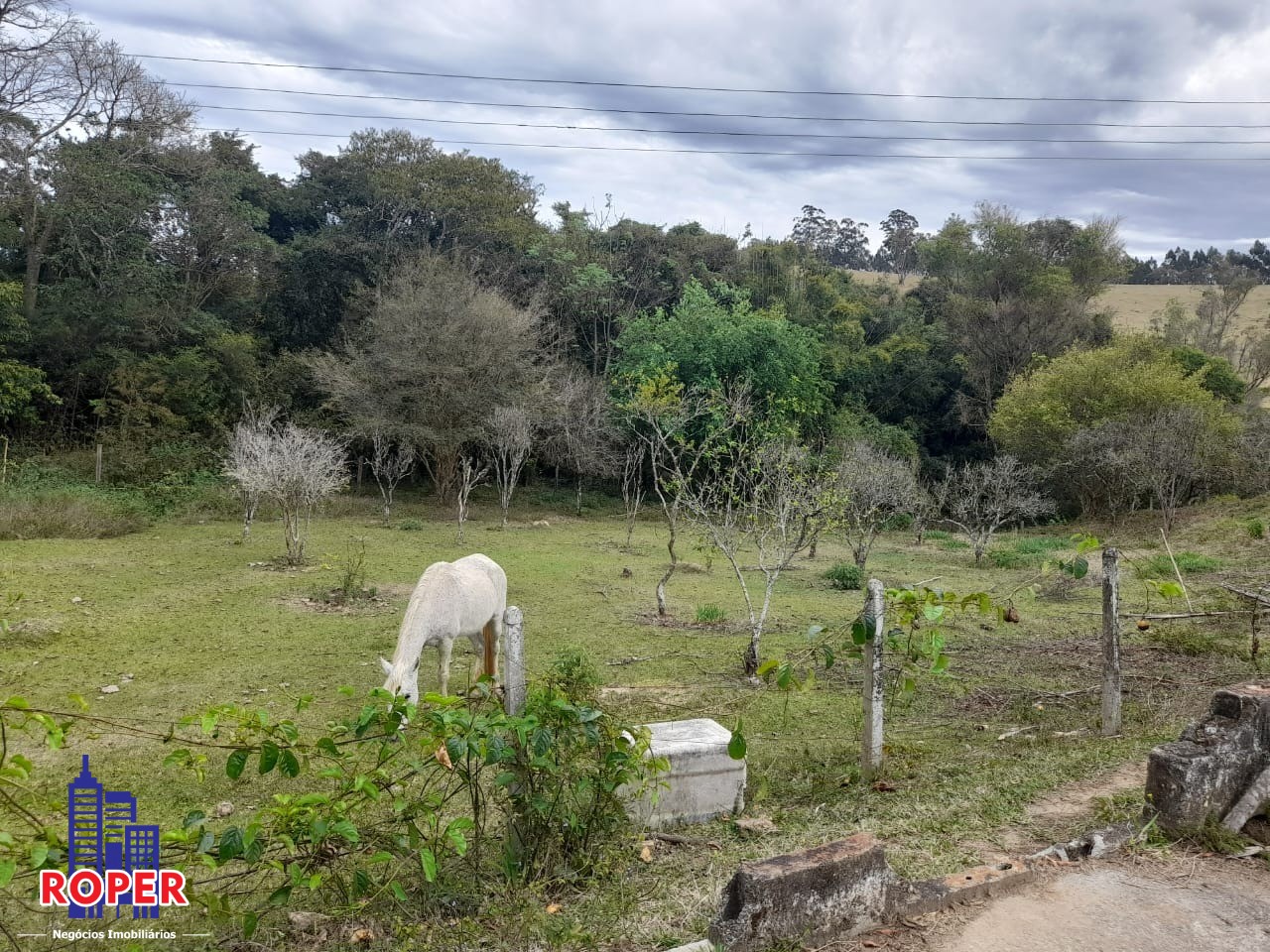 Chácara à venda com 1 quarto, 9170m² - Foto 1