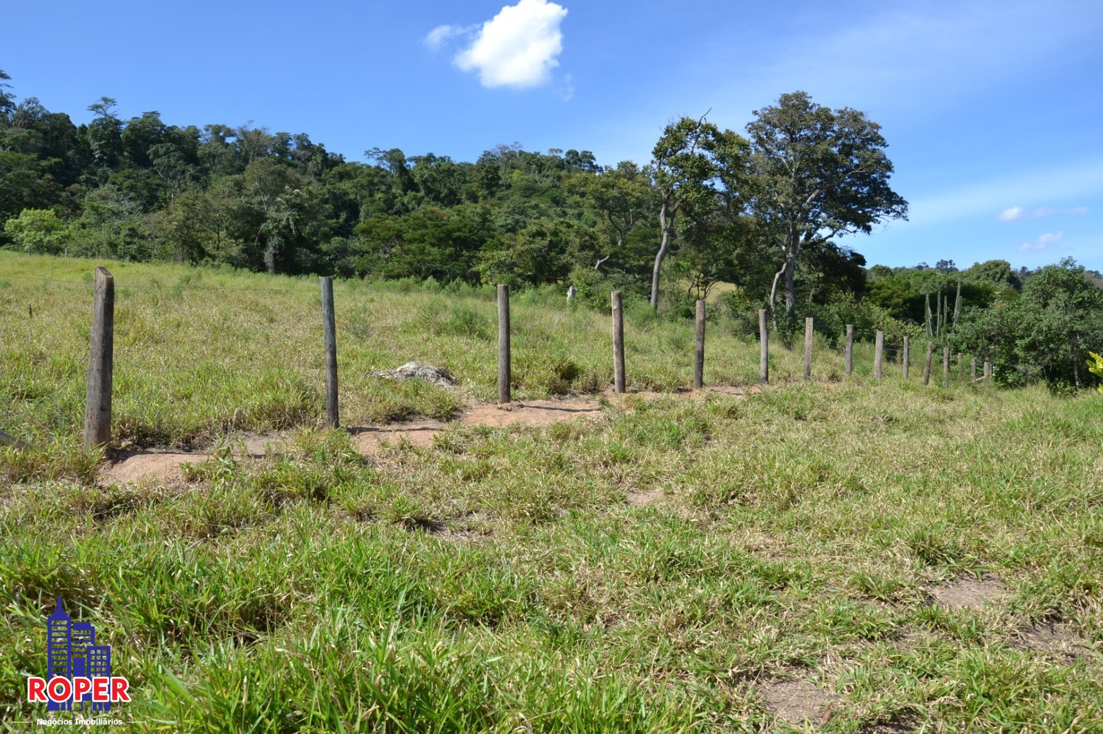 Haras e Área Rural Padrão à venda com 1 quarto, 66000m² - Foto 15