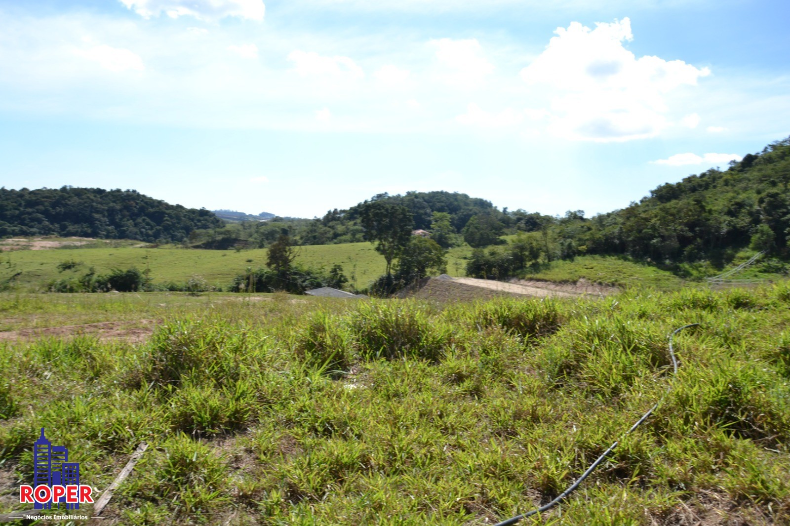 Haras e Área Rural Padrão à venda com 1 quarto, 66000m² - Foto 41