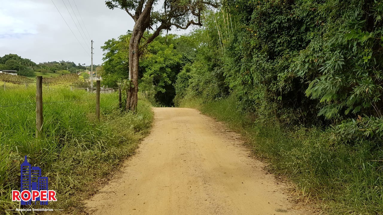 Haras e Área Rural Padrão à venda com 1 quarto, 66000m² - Foto 20