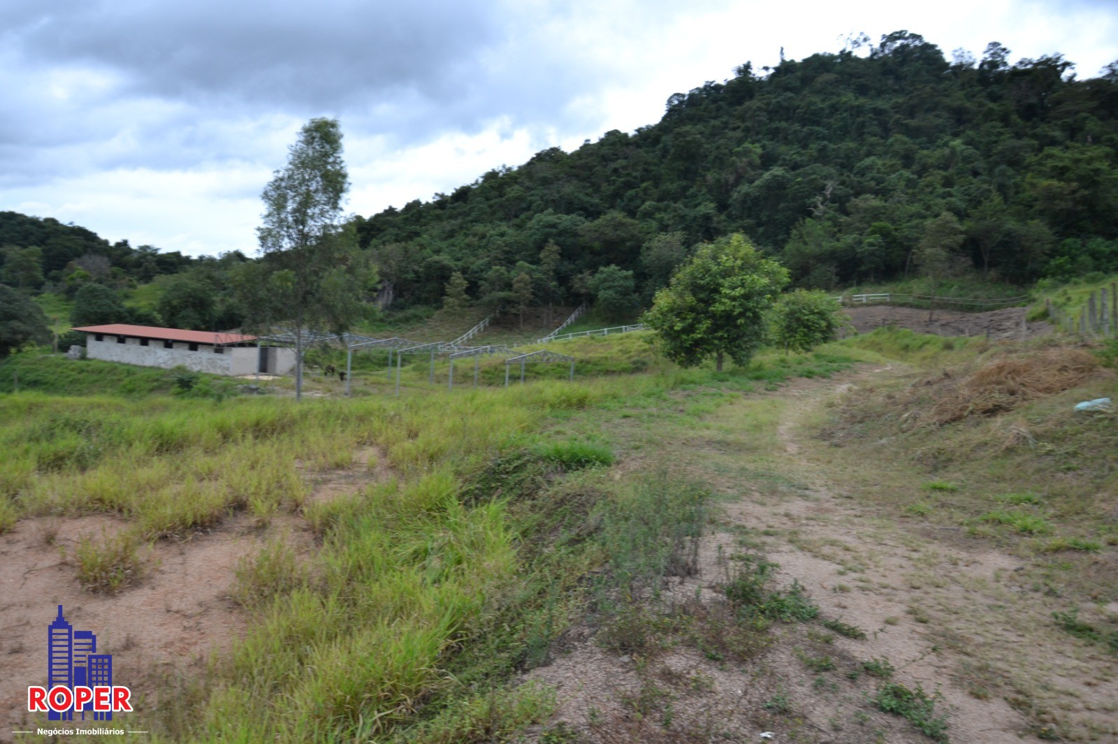 Haras e Área Rural Padrão à venda com 1 quarto, 66000m² - Foto 26