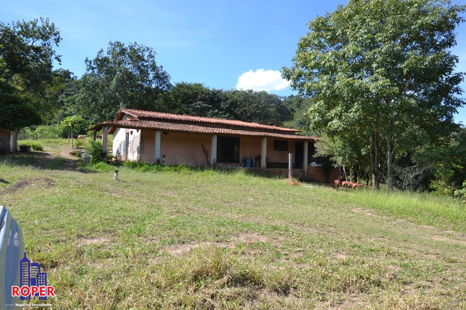 Haras e Área Rural Padrão à venda com 1 quarto, 66000m² - Foto 38