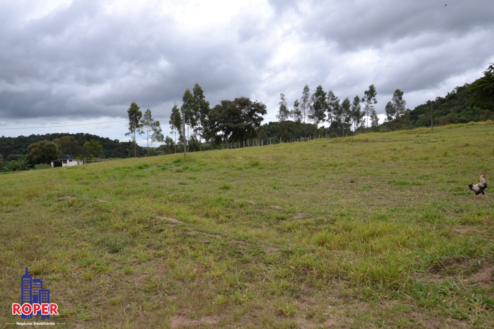 Haras e Área Rural Padrão à venda com 1 quarto, 66000m² - Foto 48