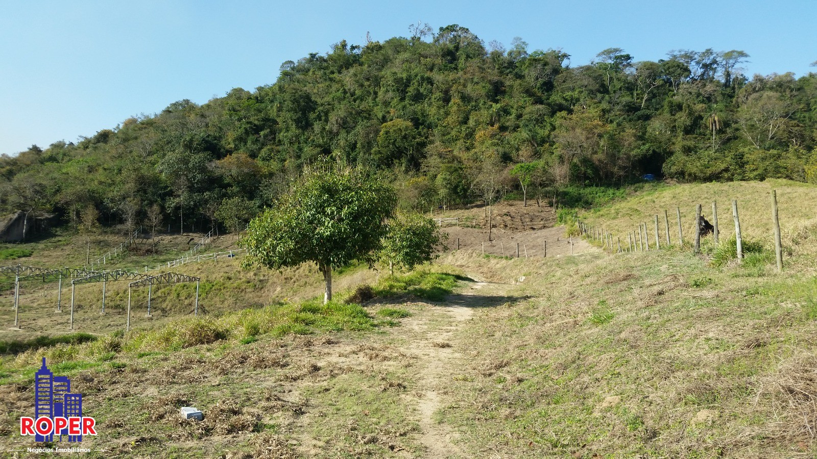 Haras e Área Rural Padrão à venda com 1 quarto, 66000m² - Foto 29