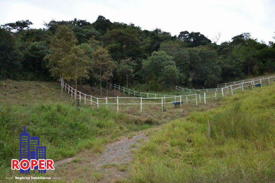 Haras e Área Rural Padrão à venda com 1 quarto, 66000m² - Foto 24