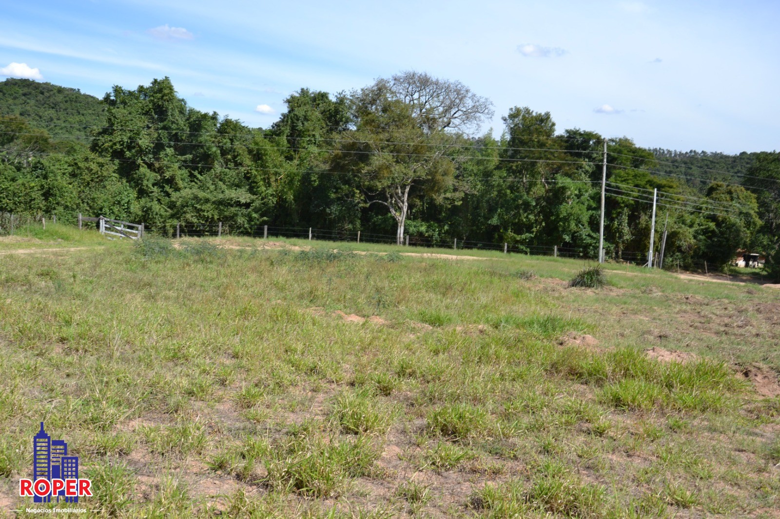 Haras e Área Rural Padrão à venda com 1 quarto, 66000m² - Foto 37