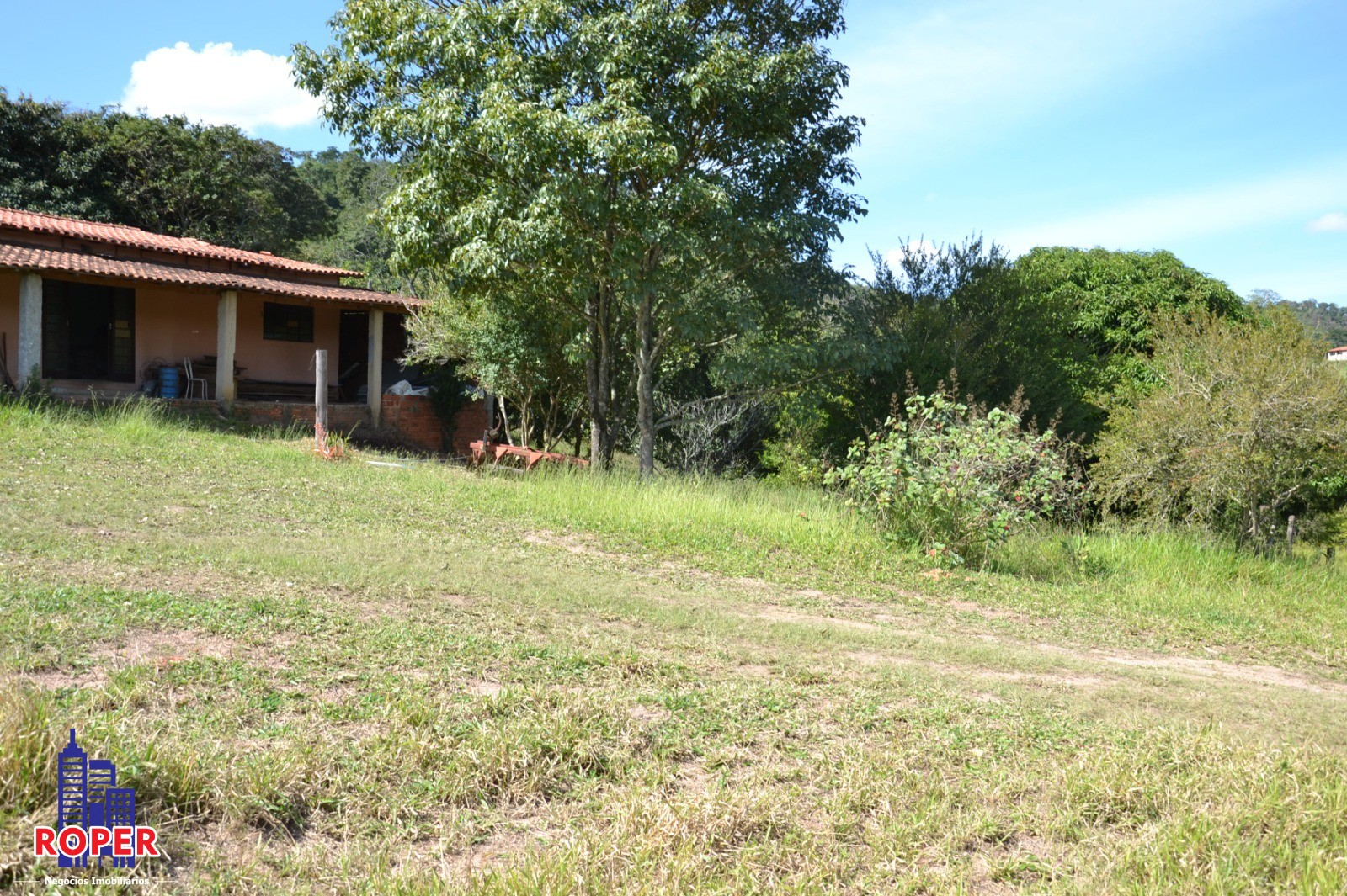 Haras e Área Rural Padrão à venda com 1 quarto, 66000m² - Foto 44