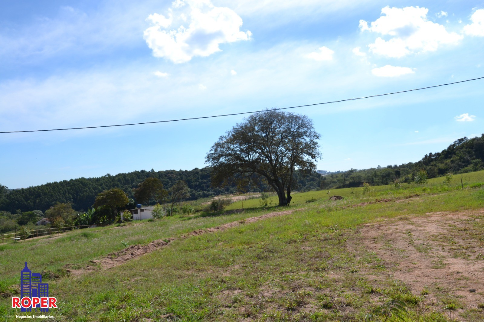 Haras e Área Rural Padrão à venda com 1 quarto, 66000m² - Foto 36