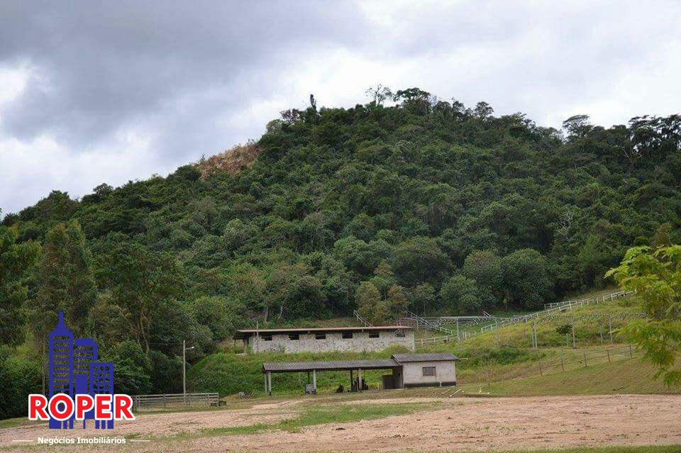 Haras e Área Rural Padrão à venda com 1 quarto, 66000m² - Foto 35