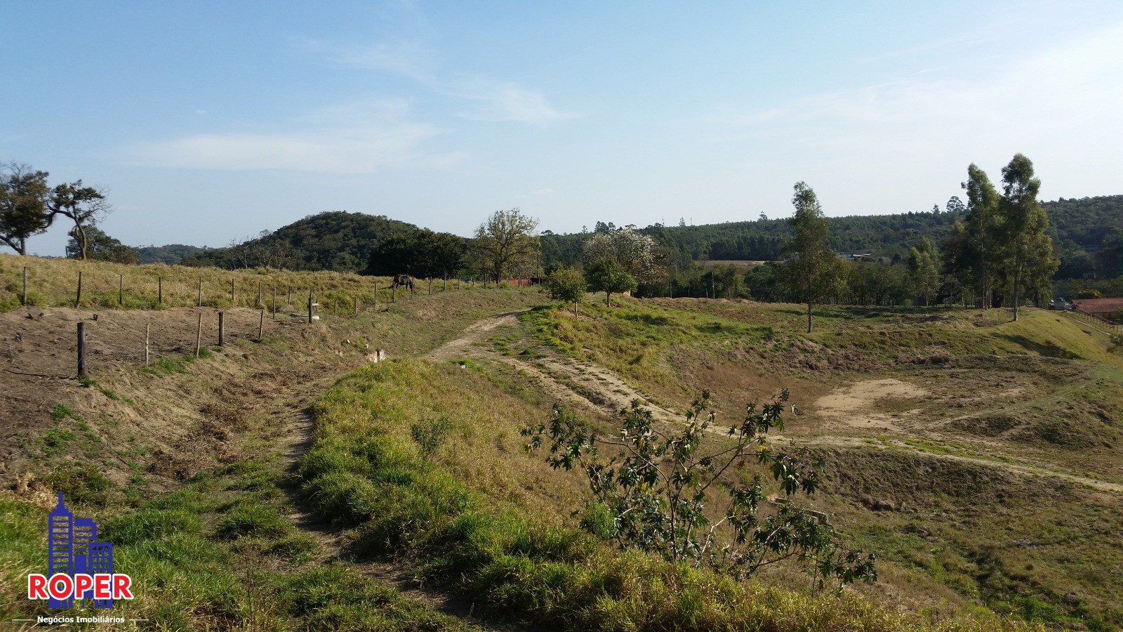 Haras e Área Rural Padrão à venda com 1 quarto, 66000m² - Foto 40