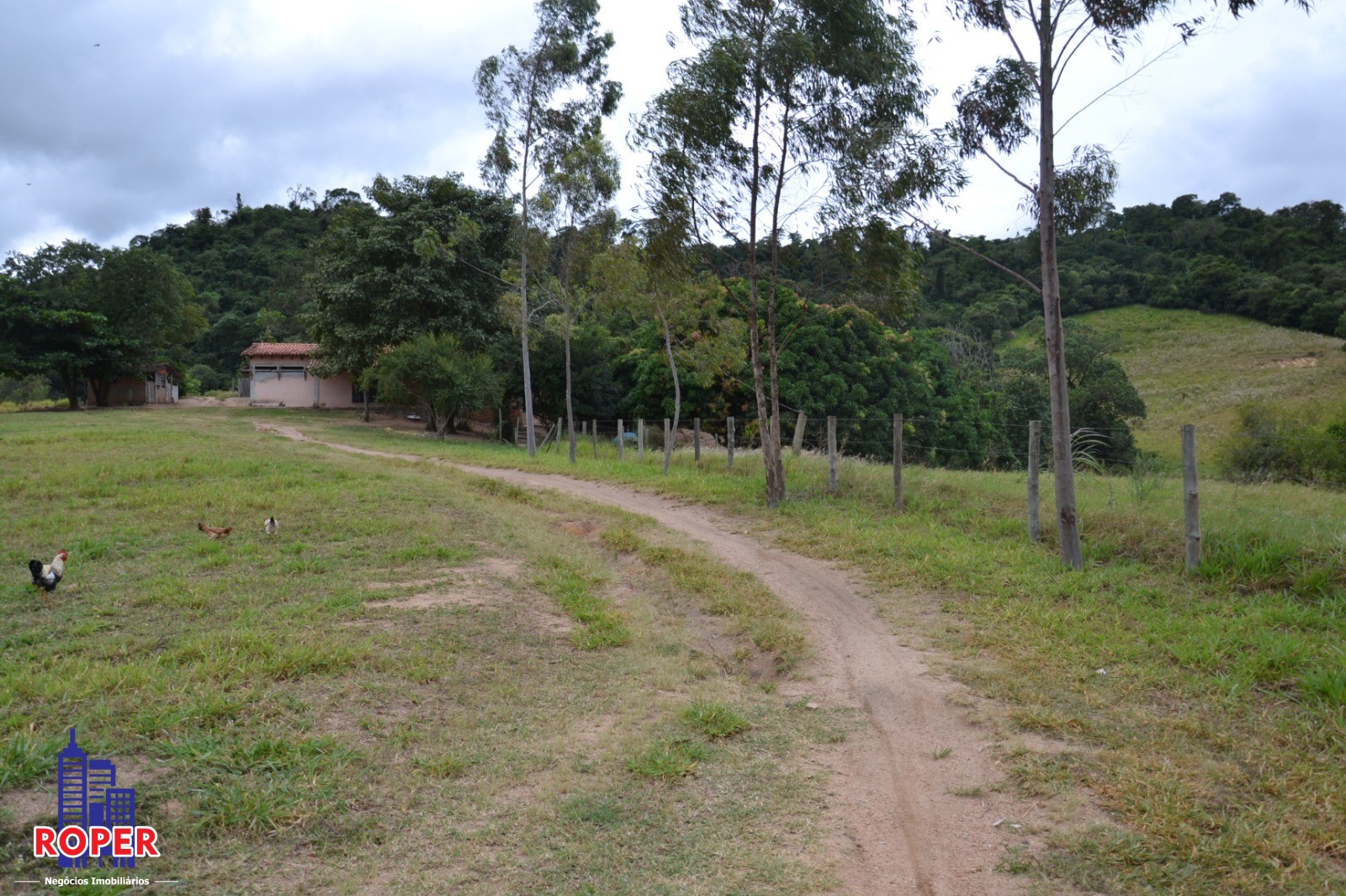 Haras e Área Rural Padrão à venda com 1 quarto, 66000m² - Foto 47