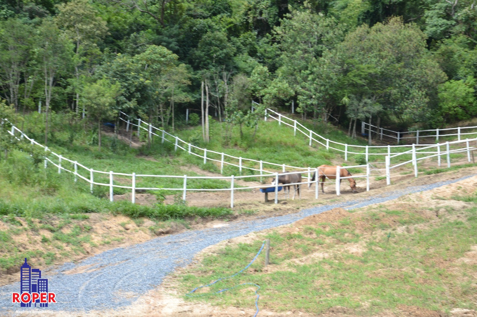 Haras e Área Rural Padrão à venda com 1 quarto, 66000m² - Foto 39