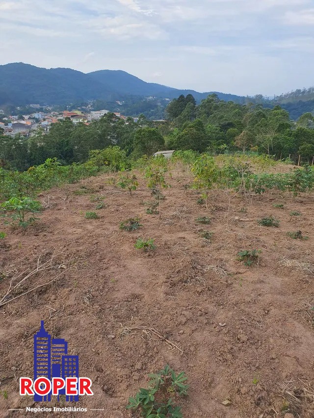 Terreno à venda, 27000m² - Foto 4