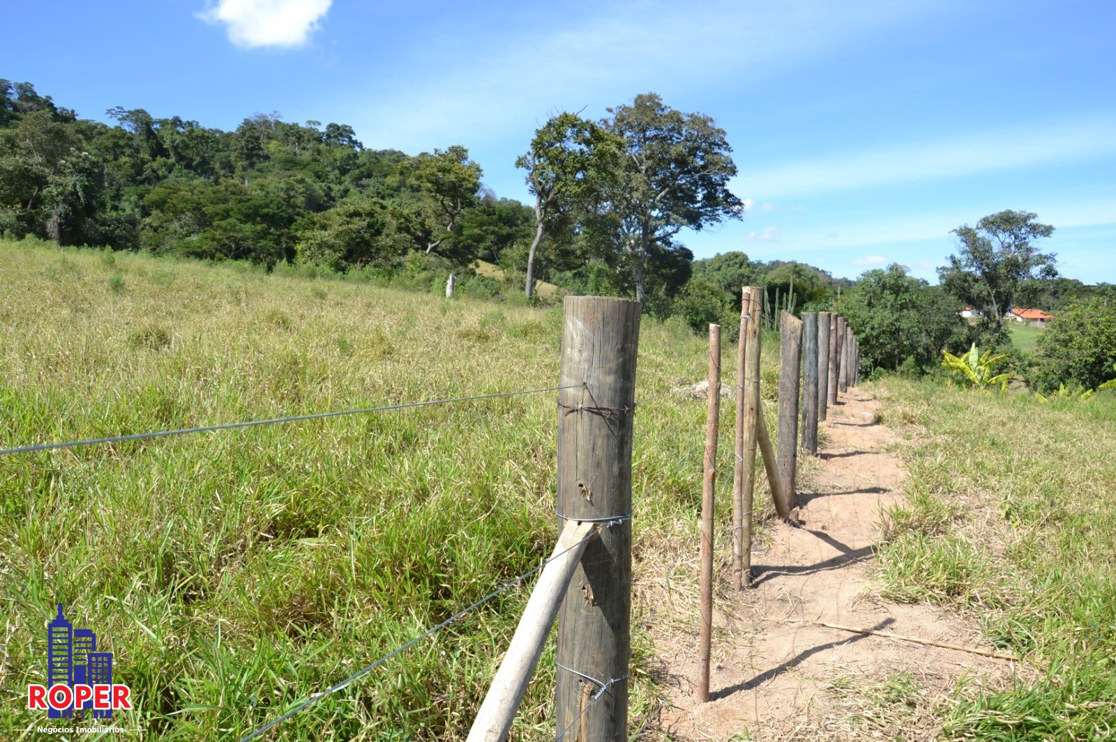 Haras e Área Rural Padrão à venda com 1 quarto, 66000m² - Foto 46