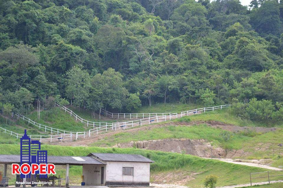 Haras e Área Rural Padrão à venda com 1 quarto, 66000m² - Foto 45